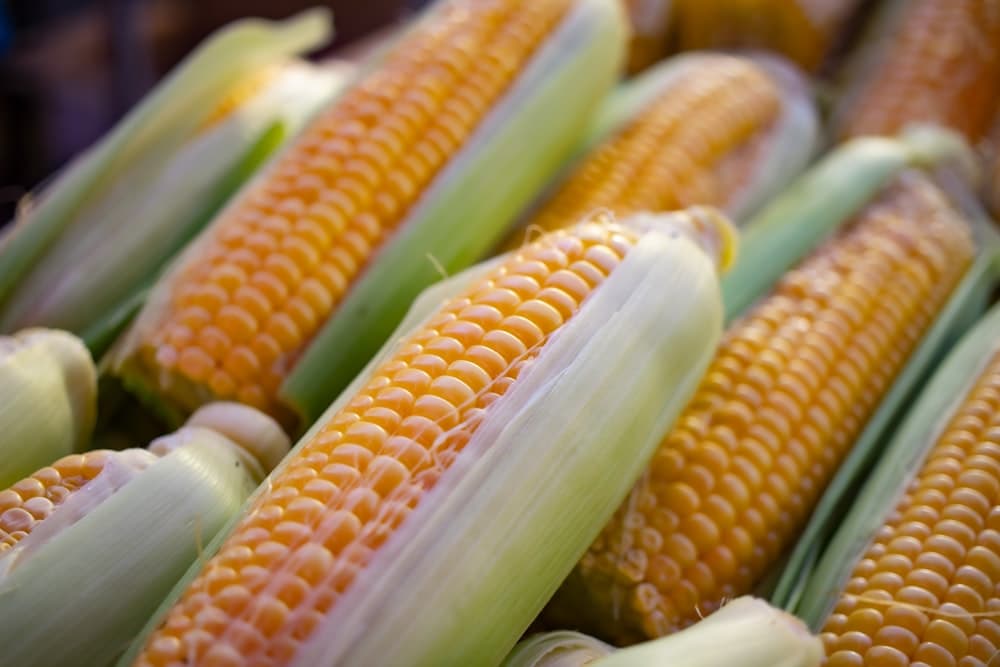 Cereals & Grains