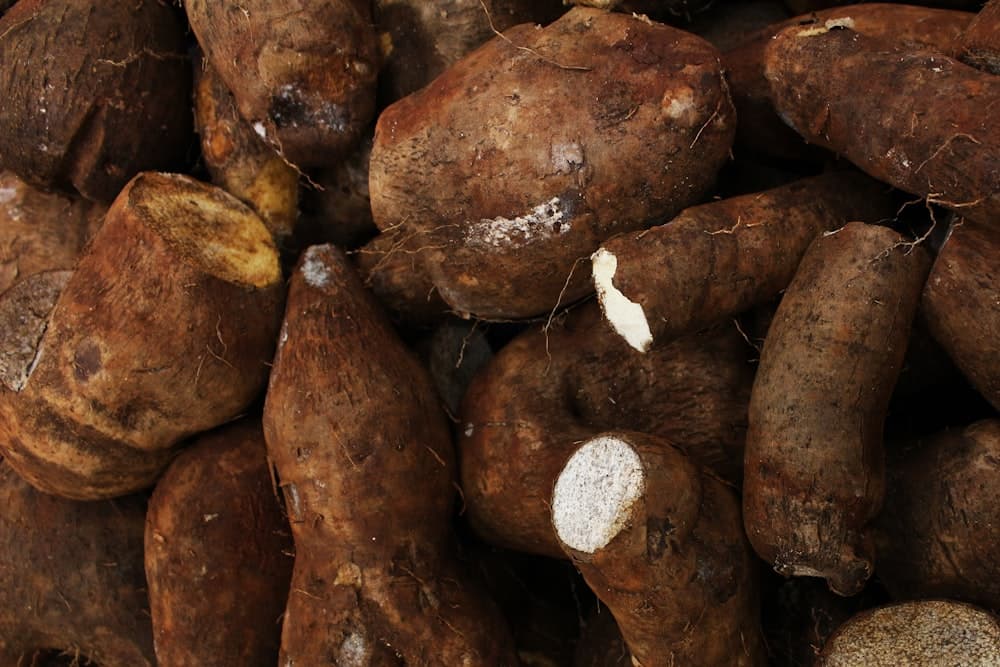 Roots & Tubers