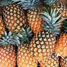 MD2 Gold Pineapple - Eastern Region Export Grade — photo 1